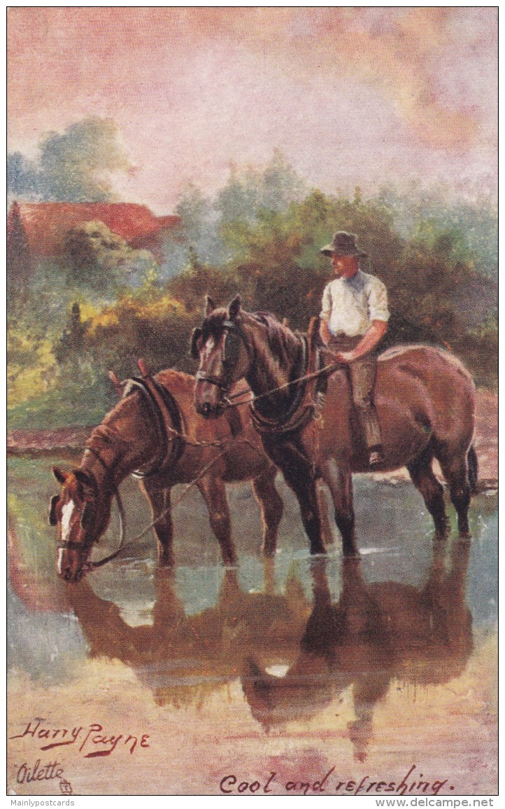 AR58 Animals - Cool And Refreshing By Harry Payne, Horses In A Stream - Horses