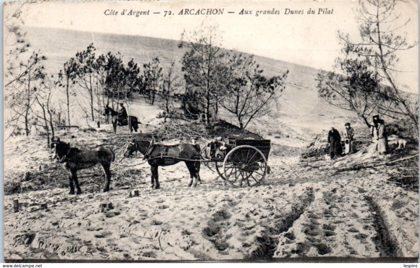 33 - ARCACHON -- Aux Grande Dunes Du Pilat - Arcachon