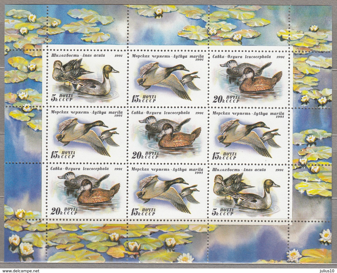 BIRDS RUSSIA 1991 Ducks Mi 6210-6212 MNH (**) #22700 - Entenvögel