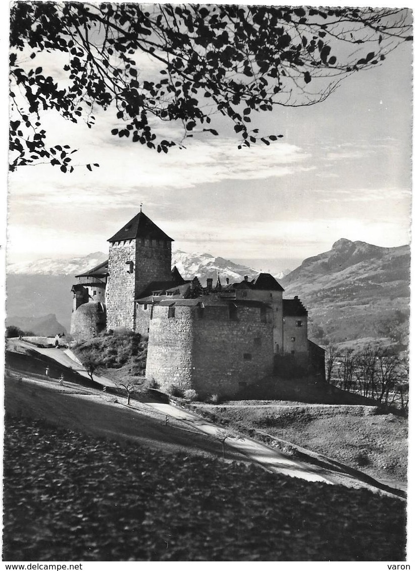 Liechtenstein - SCHLOSS VADUZ   - Photo Rare Prise Sous Cet Angle  - Photo P.OSPELT -à SCHAAN  Ref 07687 - Liechtenstein