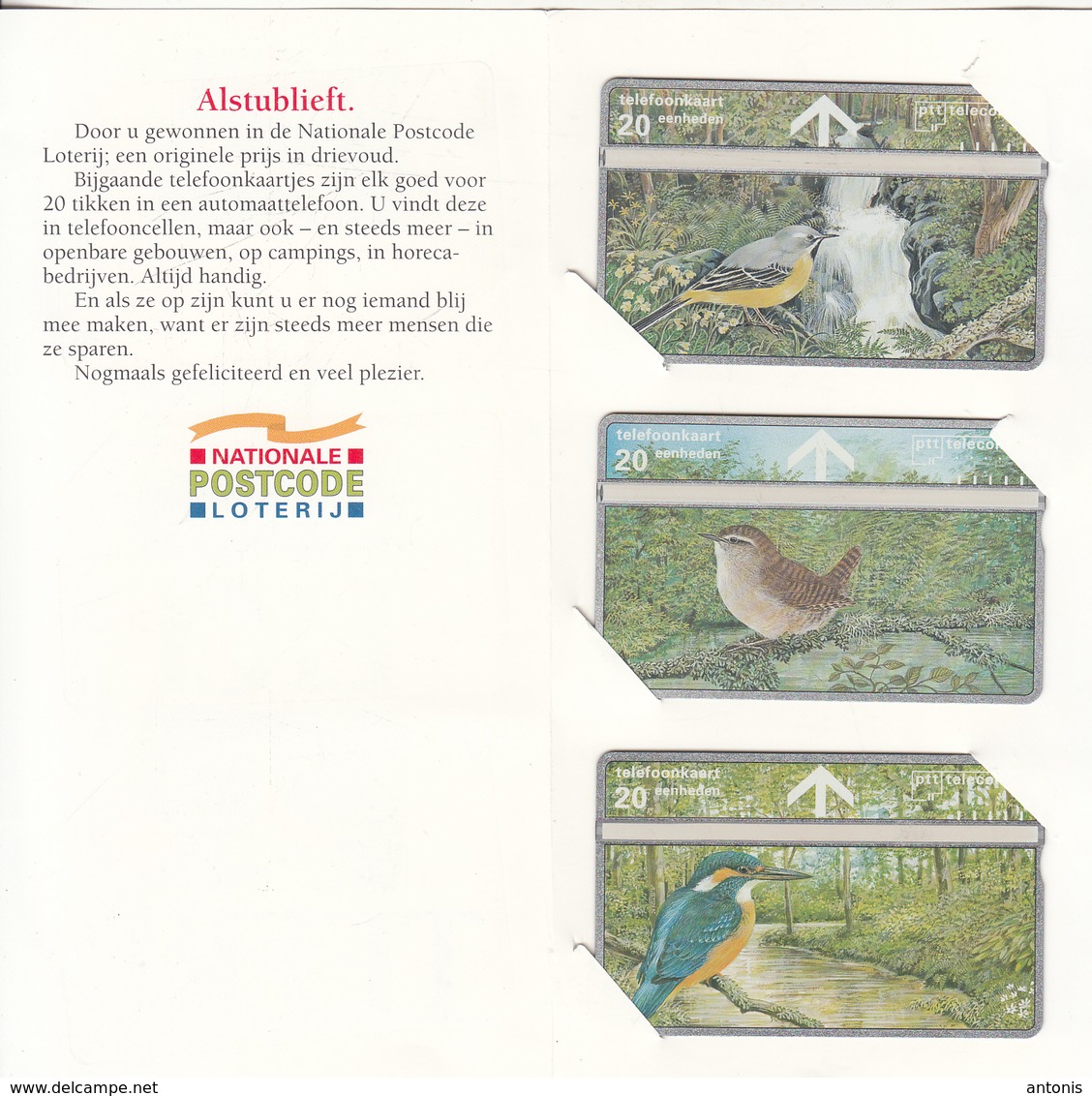 NETHERLANDS - Set Of 3 Cards, Birds, CN : 344H, Tirage 10000, Mint - Autres & Non Classés