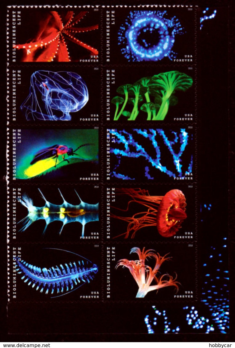 USA, 2018, 5264-5273, Bioluminescent Life, Block Of 10, MNH, VF - Ongebruikt