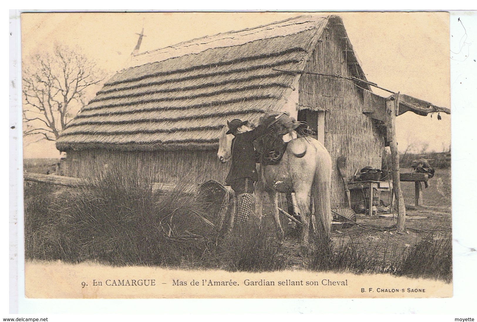 CPA-13-EN CAMARGUE-MAS DE L'AMARÉE-ANIMEE-GARDIAN SCELLANT SON CHEVAL - Autres & Non Classés