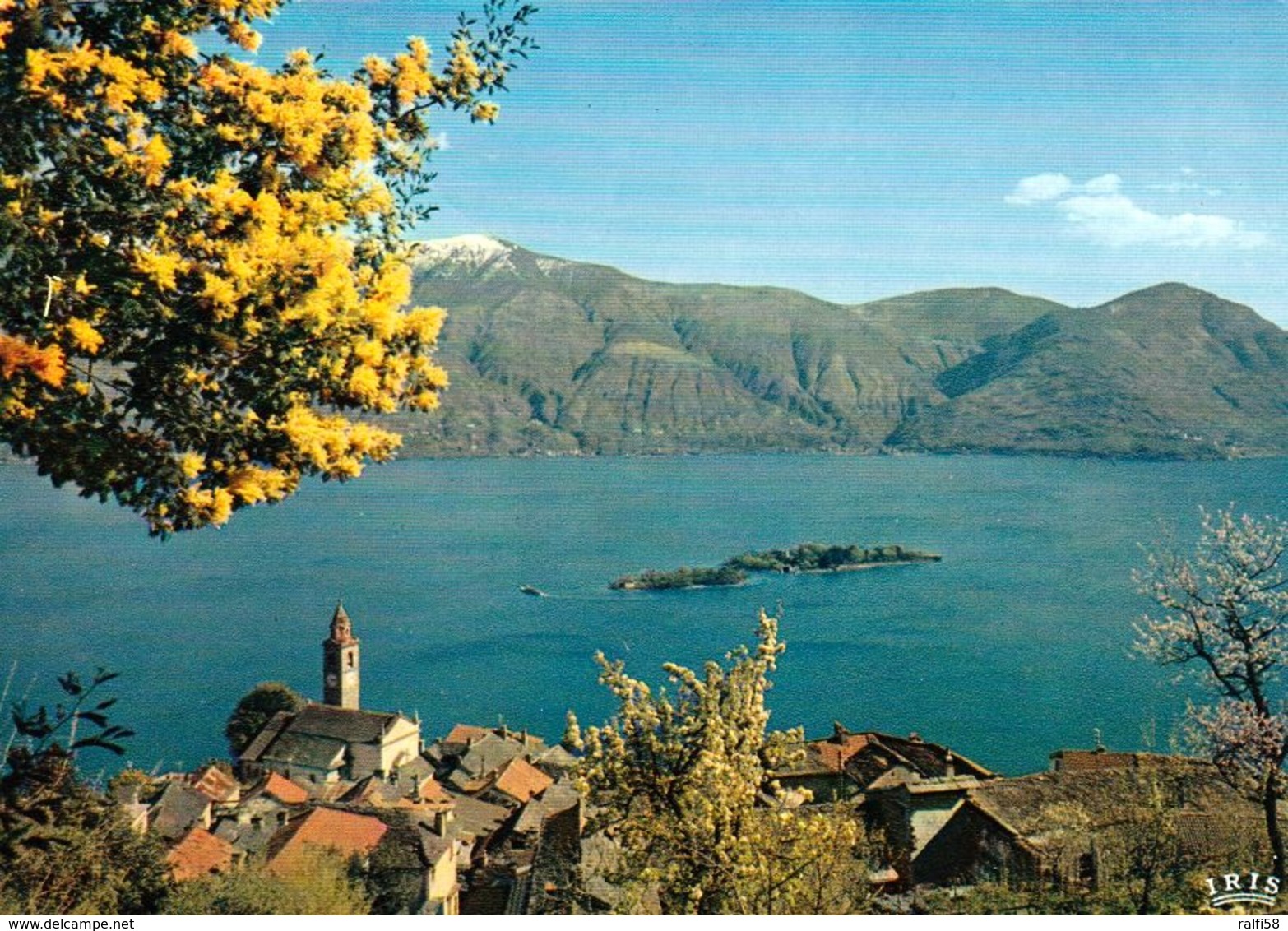 1 AK Schweiz * Blick Auf Den Ort Ronco Sopra Ascona Und Die Isole Di Brissago Im Lago Maggiore - Luftbildaufnahme * - Ascona