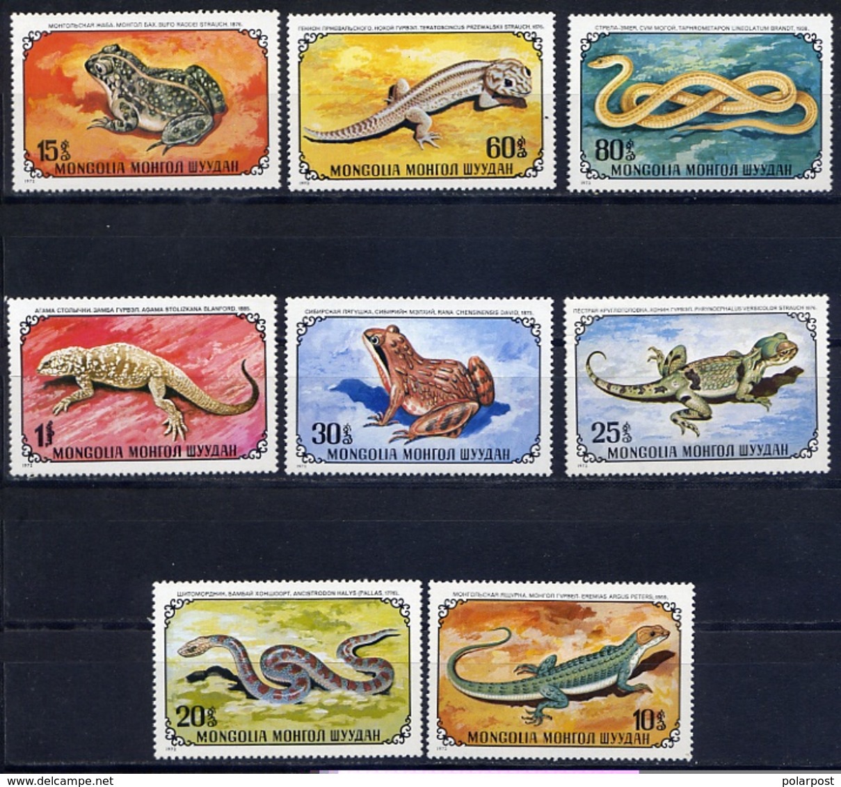 Y85 MONGOLIA 1972 712-719 Reptiles. Lizards. Frogs. Snakes - Altri & Non Classificati