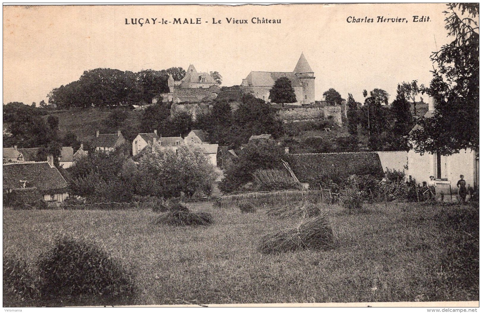 V15178 Cpa 36 Luçay Le Mâle - Le Vieux Château - Sonstige & Ohne Zuordnung