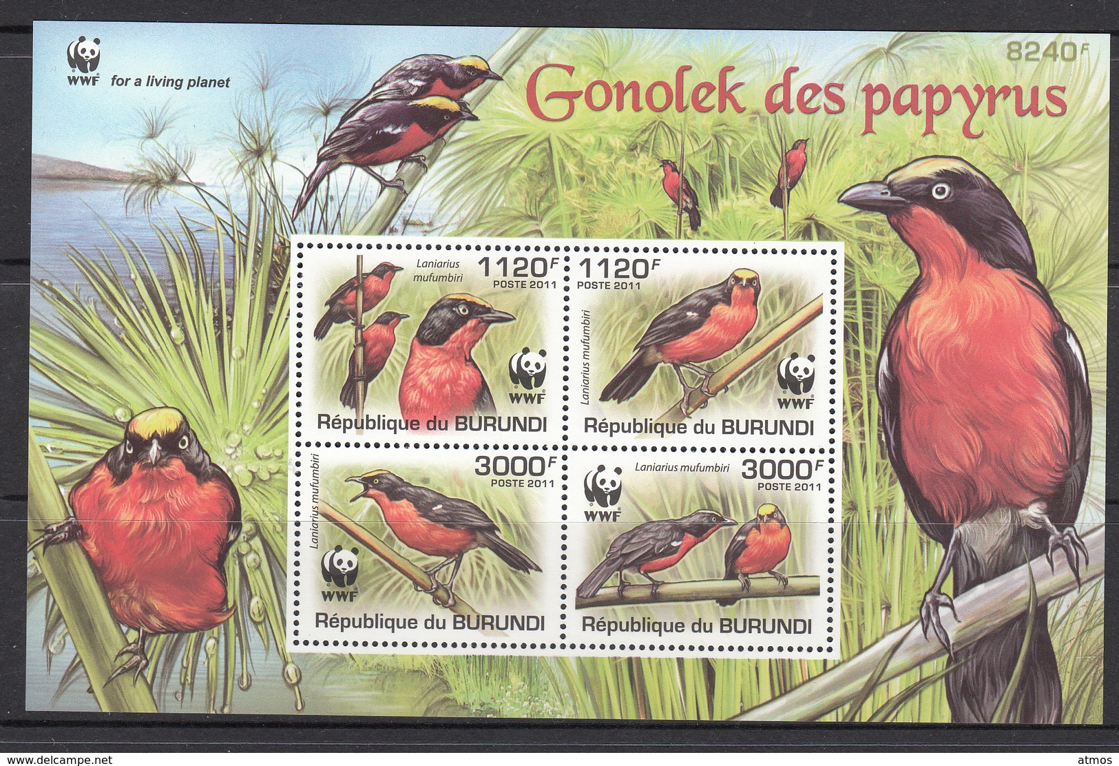 Burundi MNH Michel Nr 2126/29 From 2011 Compleet Sheet WWF Light / Mat / Catw 11.00 EUR - Ongebruikt