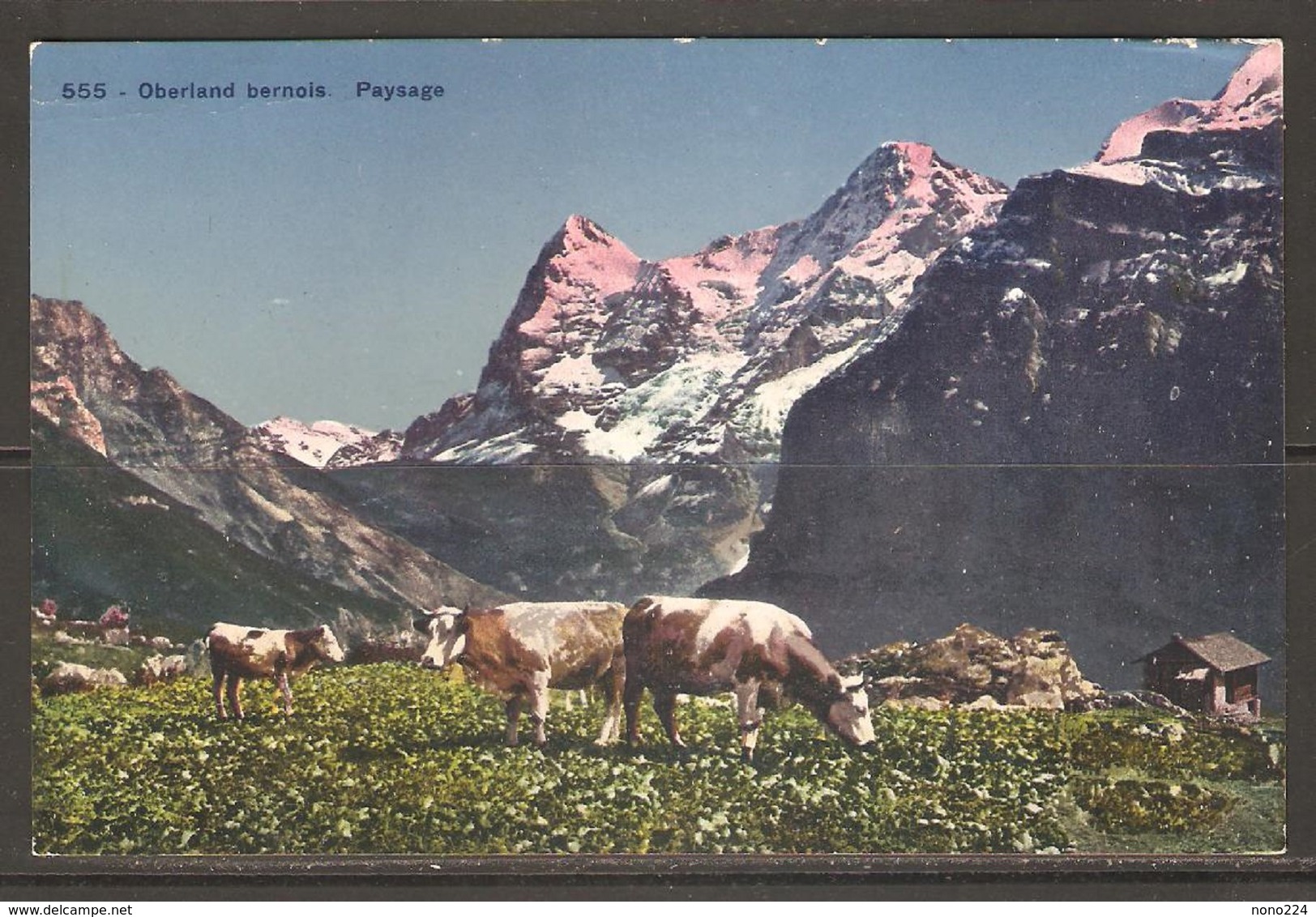 Carte P ( Suisse / Les Vaches ) - Vaches