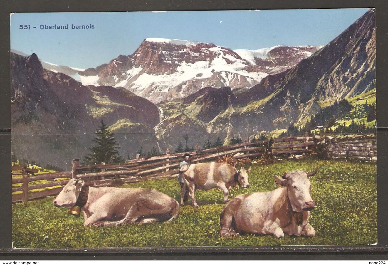 Carte P ( Suisse / Les Vaches ) - Cows