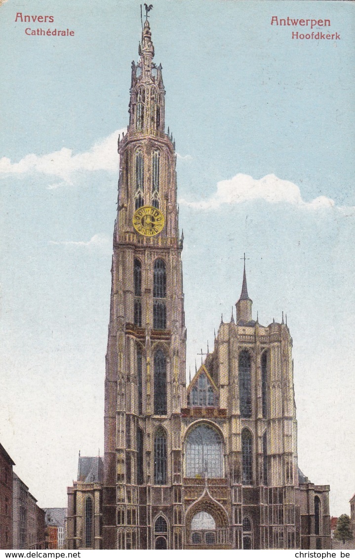 Antwerpen,  Anvers, Hoofdkerk (pk49334) - Antwerpen