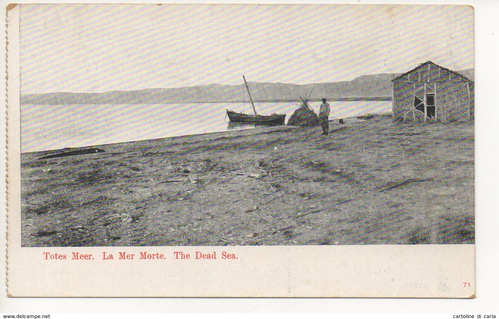 MAR MORTO - THE DEAD SEA #74 - Giordania