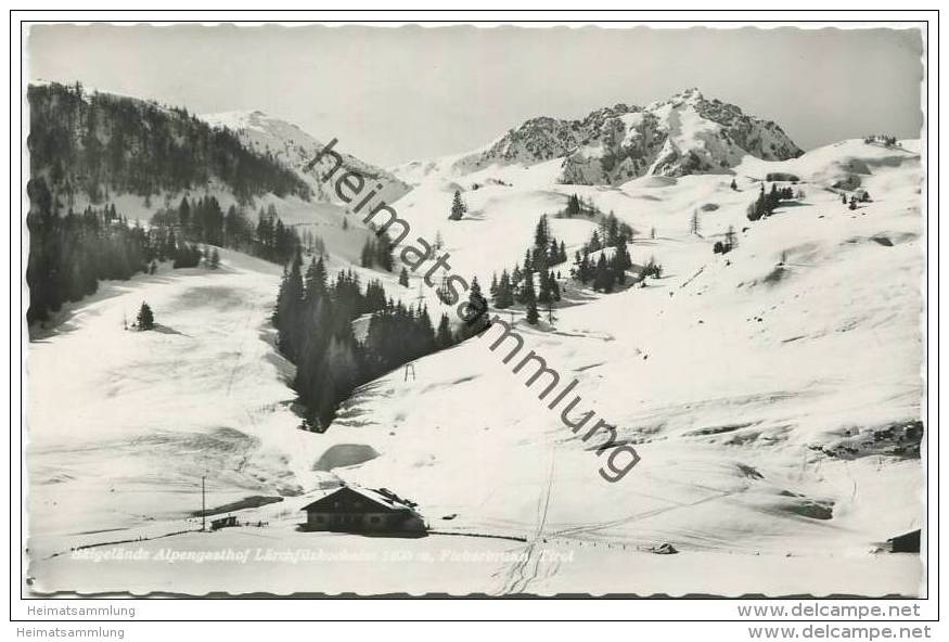 Lärchenfilzhochalm - Fieberbrunn - Foto-AK - Fieberbrunn