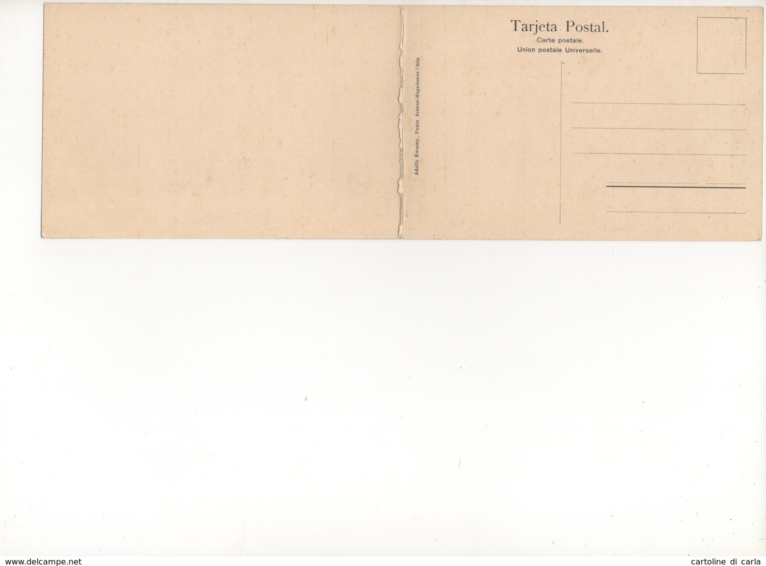 CILE - PUNTA ARENAS #176 - Chile