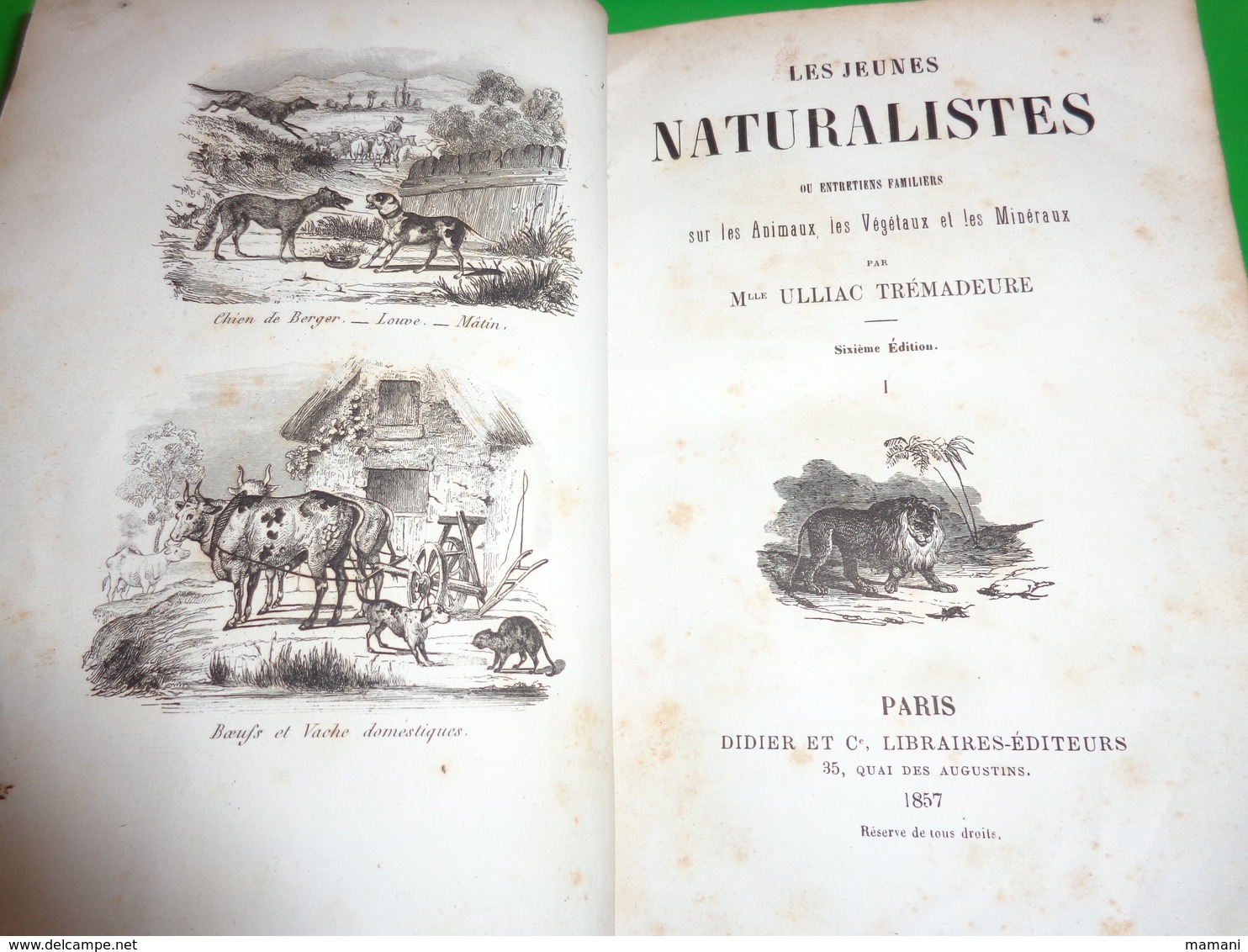 Les Jeunes Naturalistes Ou Entretiens Familiaux Sur Les Animaux Les Vegetaux Et Les Mineraux De 1857 Ulliac Tremadeure - 1801-1900