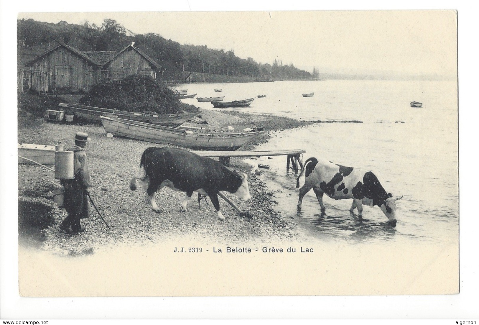 20063 - La Belotte Grève Du Lac Vaches Et Paysan - Vaches