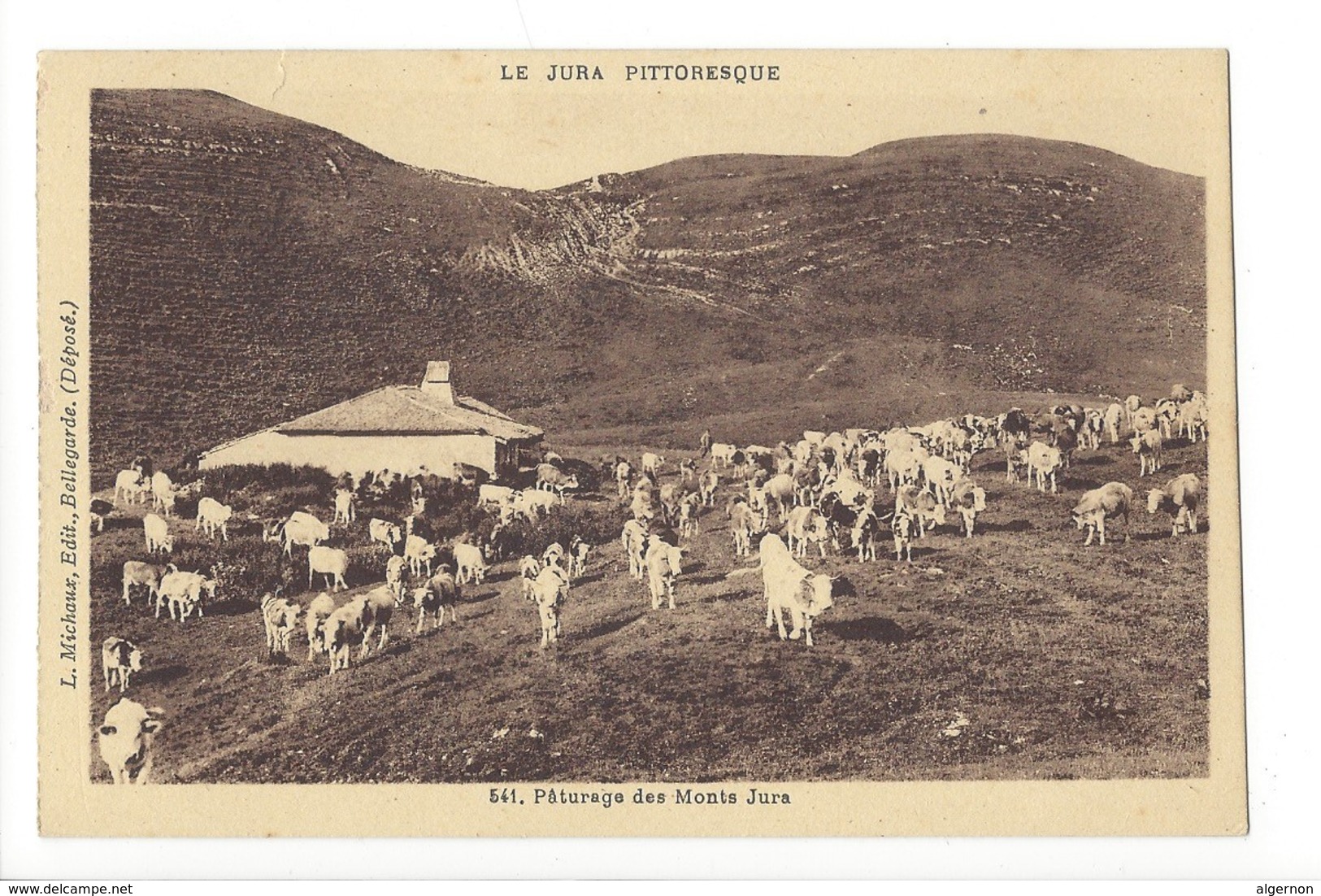 20069 - Pâturage Des Monts Jura Troupeau De Vaches - Vaches