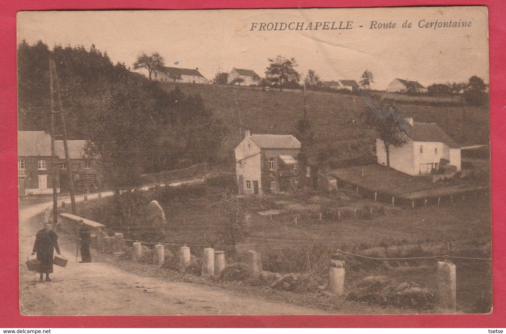 Froidchapelle - Route De Cerfontaine ( Voir Verso ) - Froidchapelle