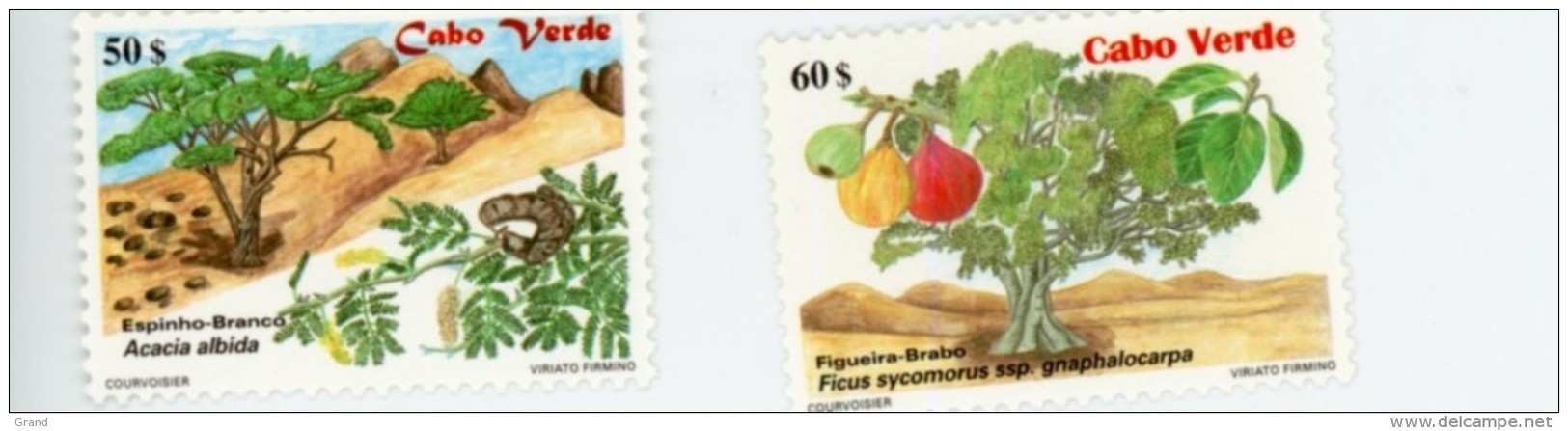 Cap Vert-Cabo Verde-2000-Arbres Acacias,figuier-756/7***mnh - Cap Vert