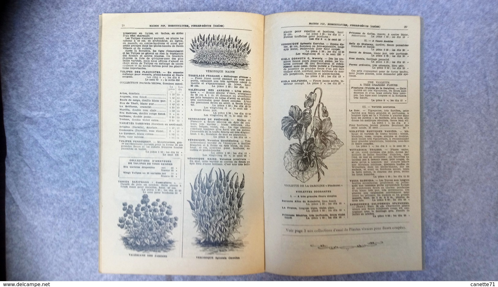 Plantes à Fleurs De Plein Air, Rosiers, Arbustes, Arbres Fruitiers Catalogue 1932-1933 Maison Pin à Pierre-Bénite - Autres & Non Classés