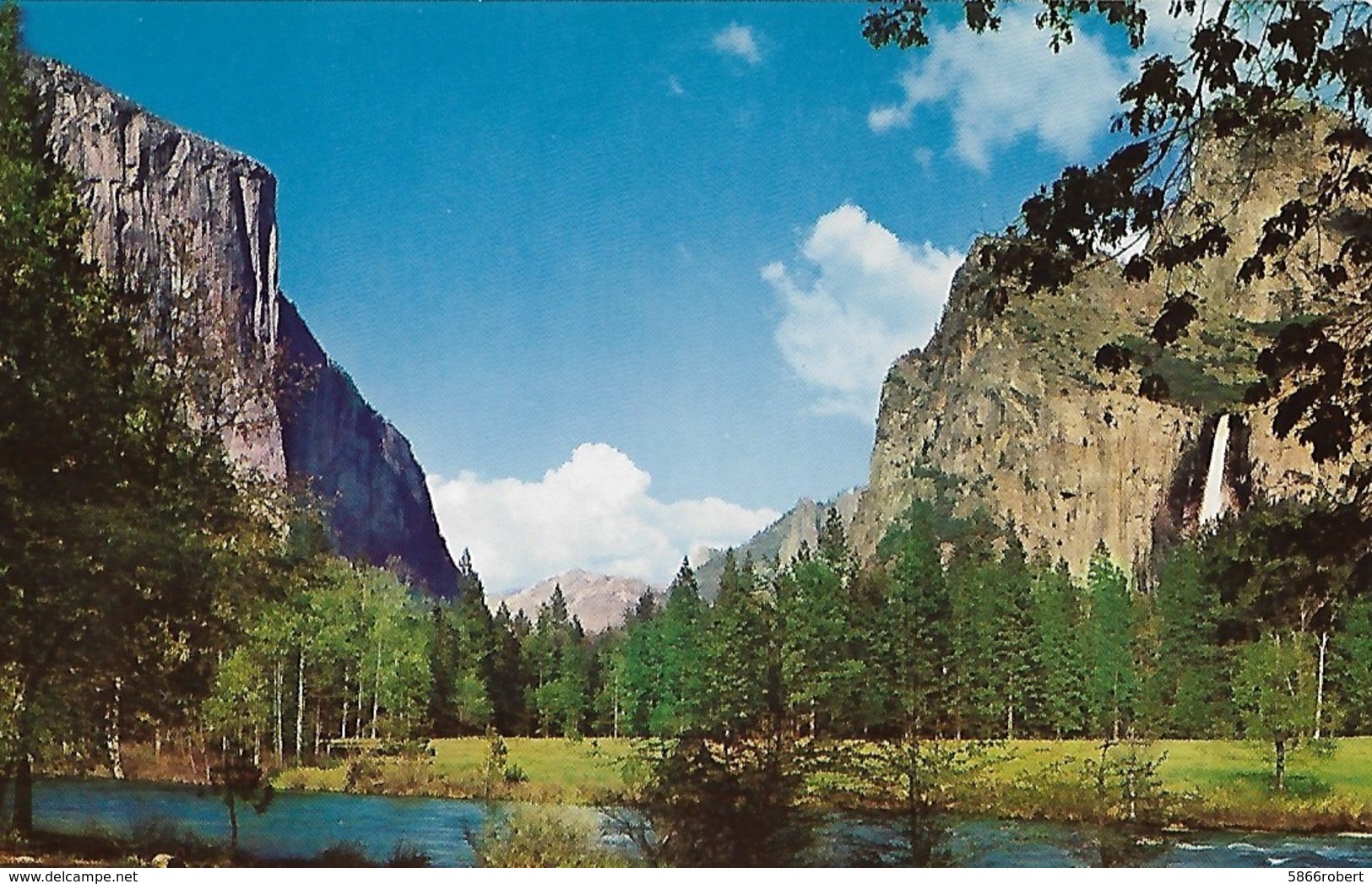 CARTE POSTALE ORIGINALE DE 9CM/14CM : YOSEMITE VALLEY CALIFORNIA   USA - Yosemite
