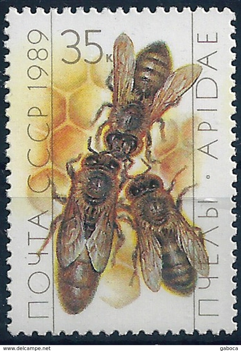 B1669 Russia USSR Fauna Insect Honeybee ERROR (1 Stamp) - Errors & Oddities