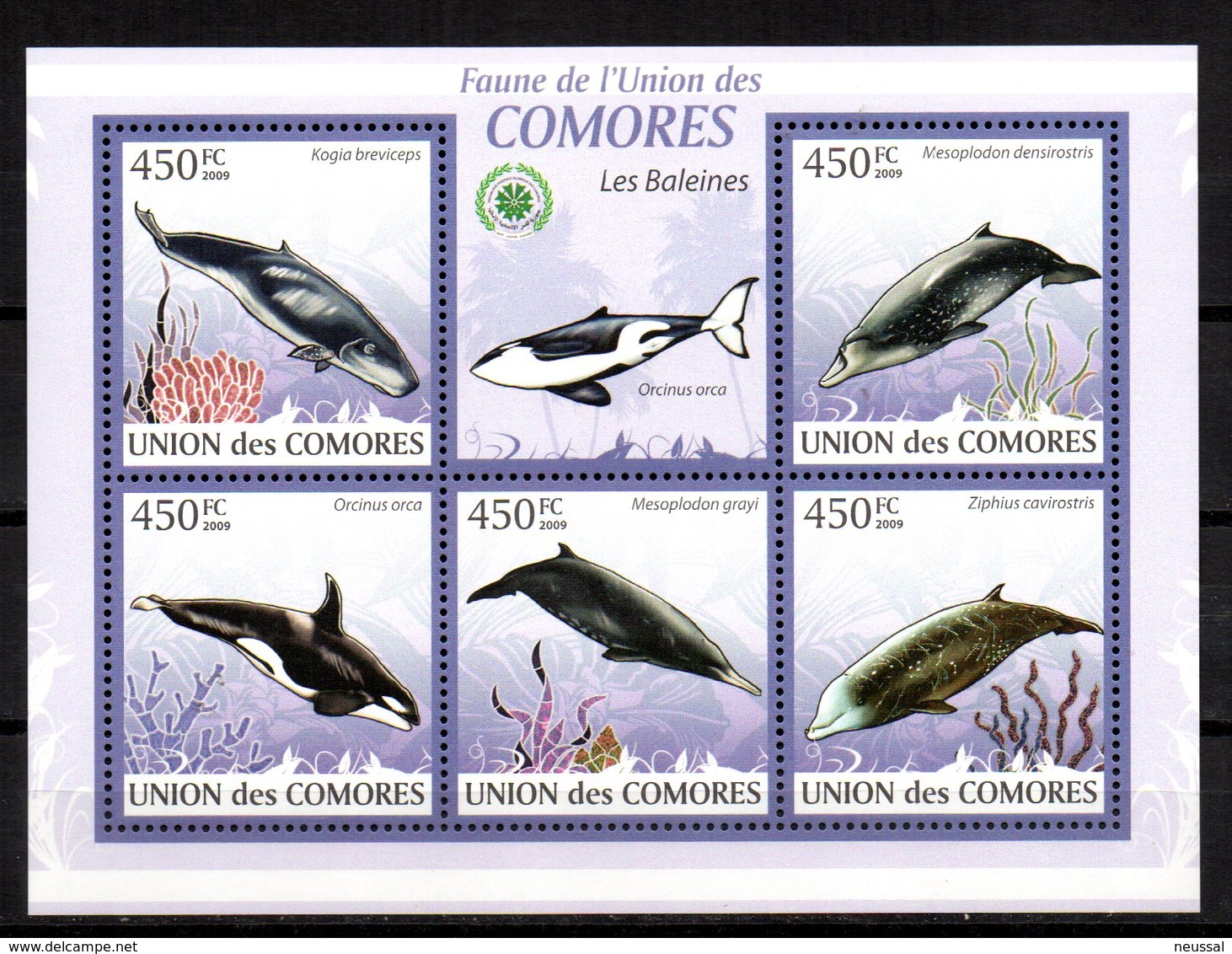 Serie De Ballenas  Comores - Ballenas
