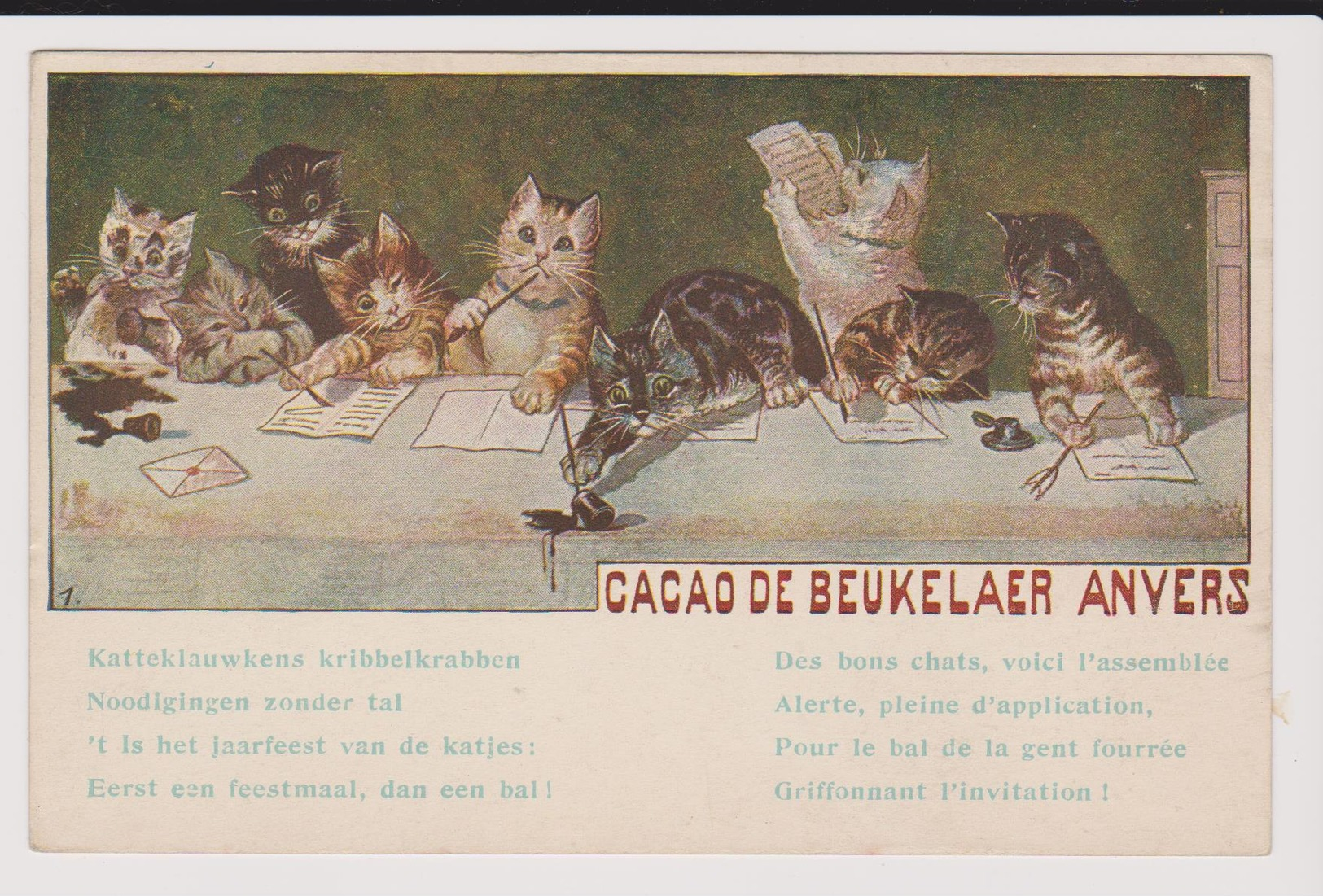 Belle Carte Vierge Chat Pub Chocolat Debeukelaer S - Reclame