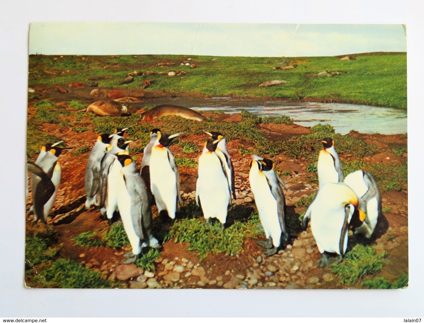 C.P.A. Du Pole Nord Au Pole Sud, POLE SUD, PINGOUINS, 2 Timbres En 1959 - TAAF : French Southern And Antarctic Lands