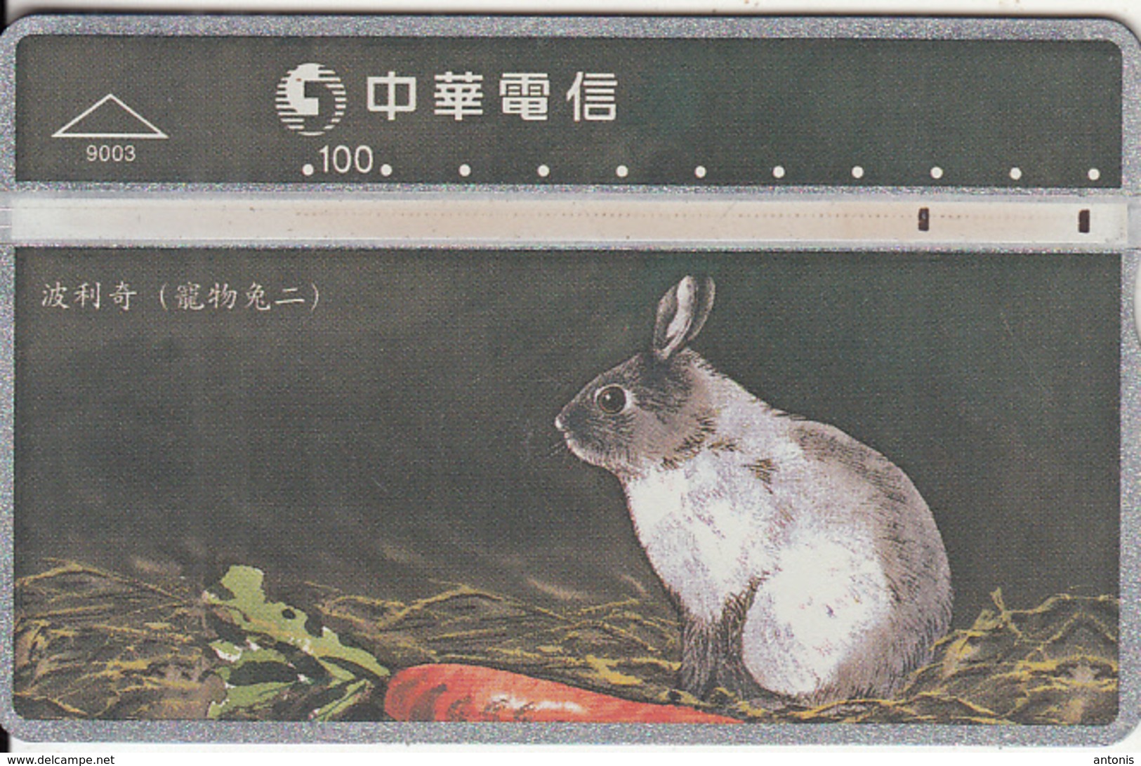 TAIWAN - Rabbit, Chunghwa Telecard(9003), CN : 973B, Used - Konijnen