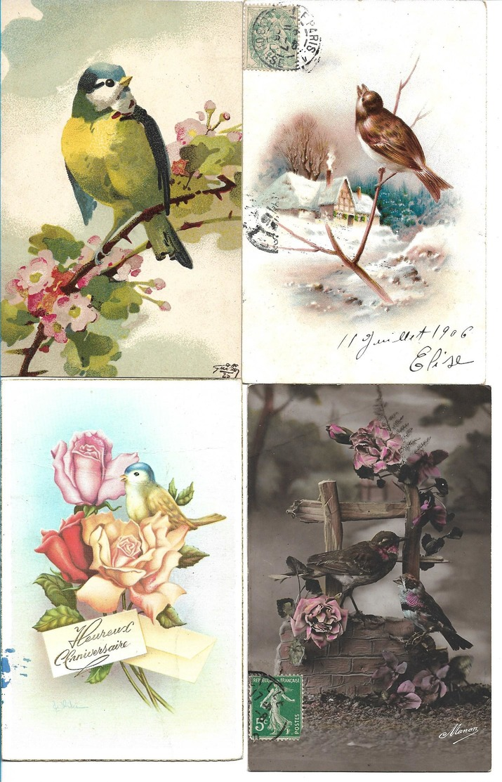 Lot De 20 Cp Representant Des Oiseaux Voir Scan - 5 - 99 Karten
