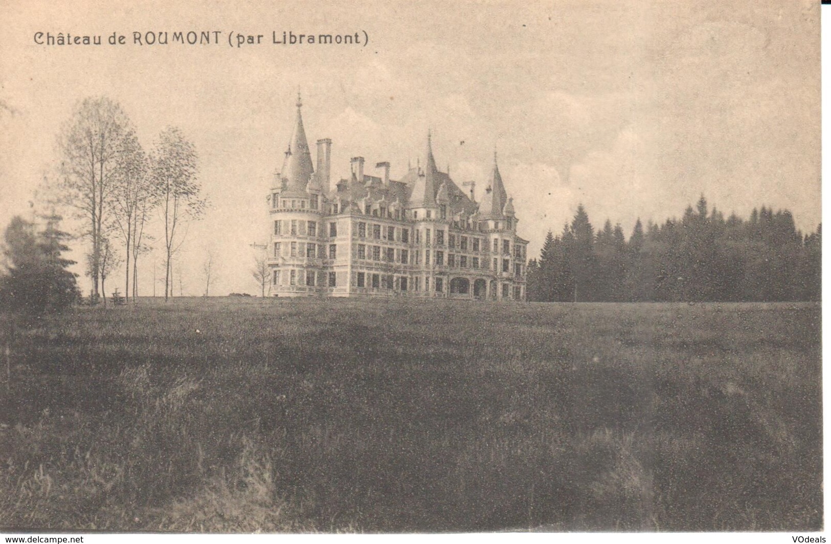 Libramont-Chevigny - CPA - Château De Roumont - Libramont-Chevigny