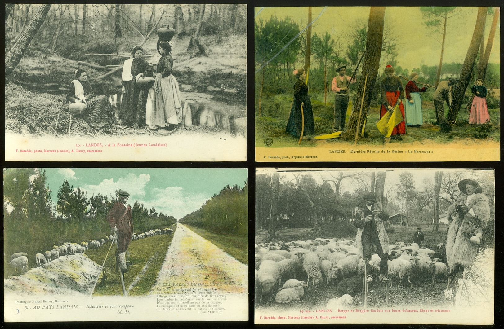 Beau Lot De 44 Cartes Postales De France  Landes  Mooi Lot Van 44 Postkaarten Van Frankrijk ( 40 )  - 44 Scans - 5 - 99 Cartes