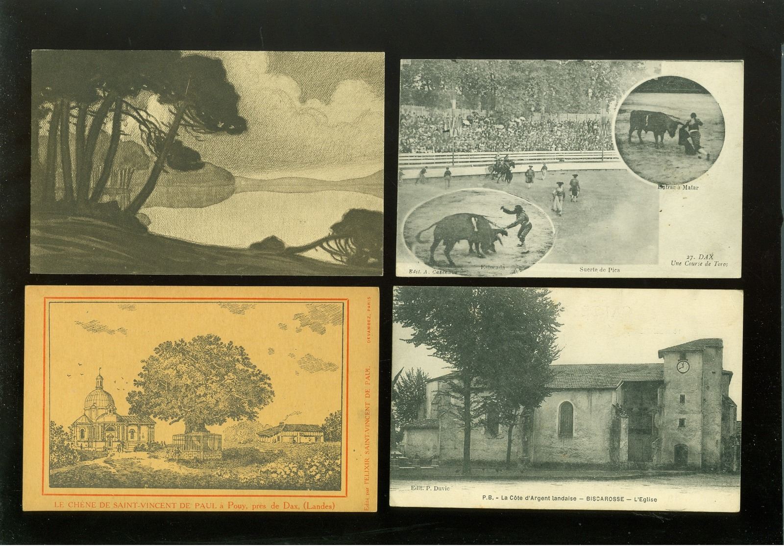 Beau lot de 44 cartes postales de France  Landes  Mooi lot van 44 postkaarten van Frankrijk ( 40 )  - 44 scans