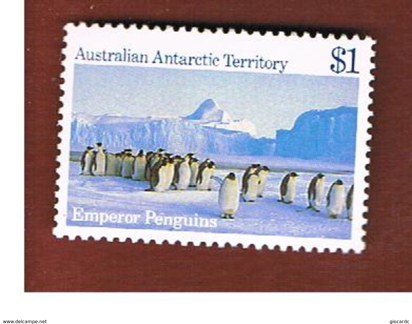 TERRITORI ANTARTICI AUSTRALIANI (AUSTRALIAN ANTARCTIC TERRITORY)  -  SG 77 -  1984 EMPEROR PENGUINS - (MINT)** - Nuovi