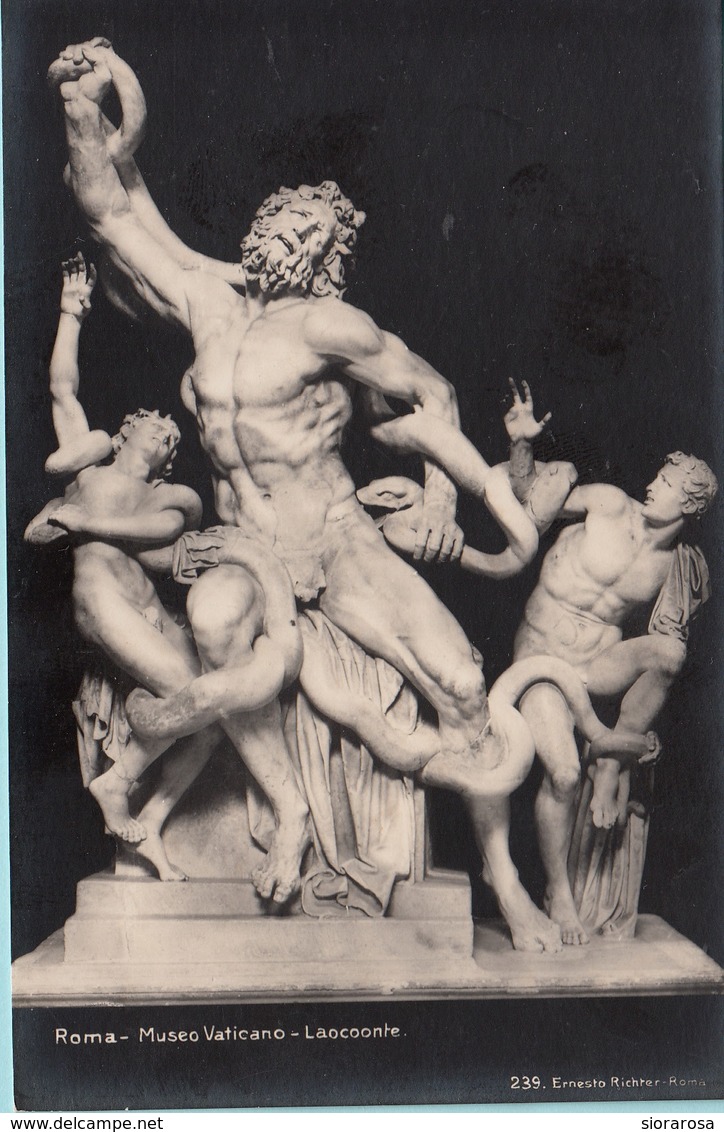 Roma. Museo Vaticano. LAOCOONTE - Sculptures