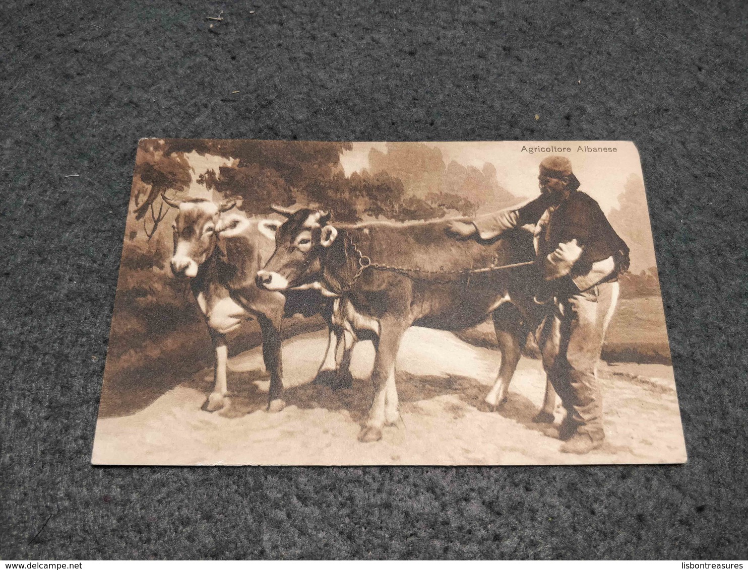 RARE ANTIQUE POSTCARD ALBANIA AGRICOLTORE FARMER ALBANESE UNUSED - Albania