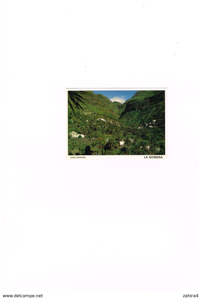 Agriculture - Ile Verte - Islas Canarias - Rincon De Guada  V. Gran Rey  - Phot Juan Montesino - Gomera
