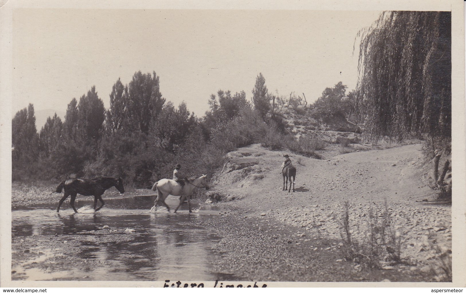 ESTERO LIMACHE. CHILE. CIRCA 1940's- BLEUP - Chili