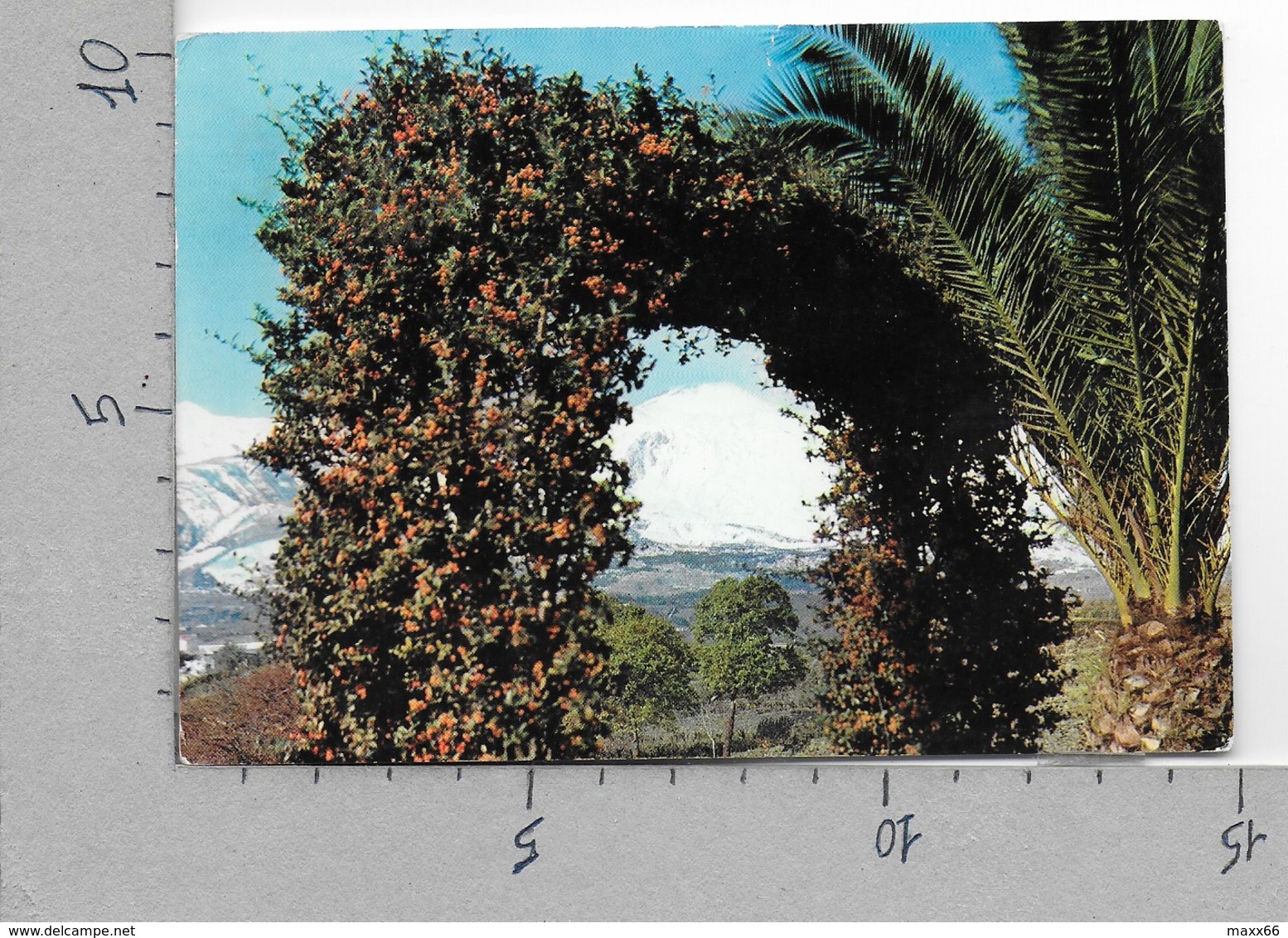 CARTOLINA VG ITALIA - ETNA (CT) - Panorama - 10 X 15 - ANN. 1966 - Catania