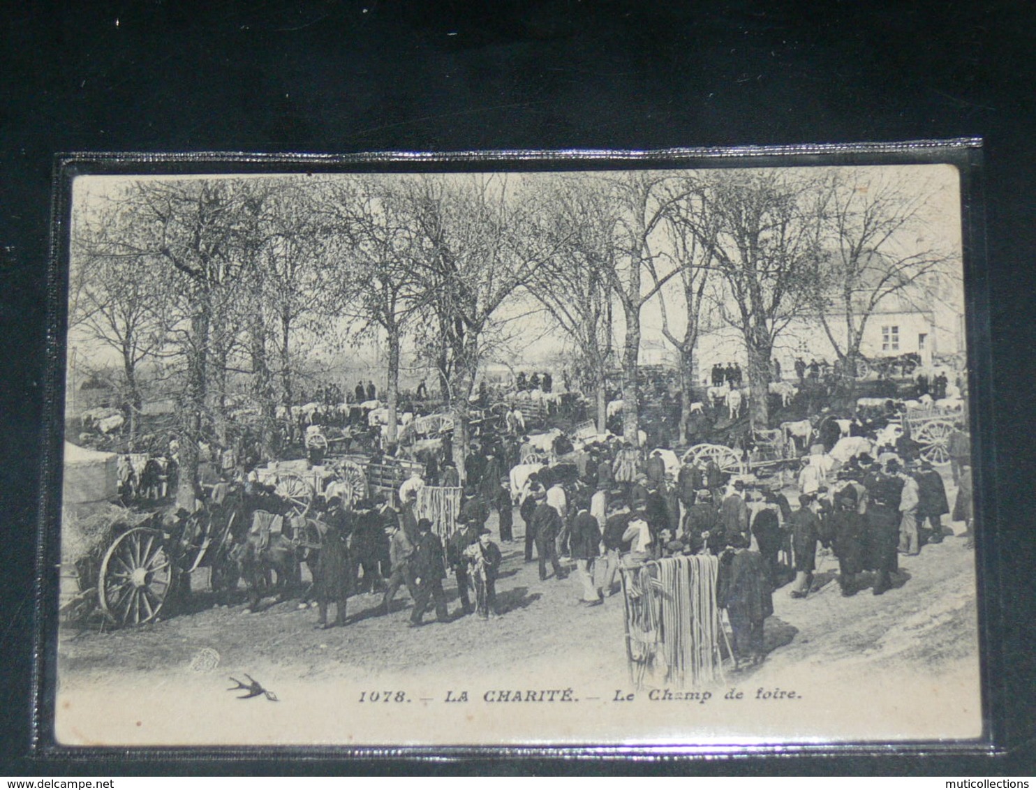 LA CHARITE SUR LOIRE     1910 /    FOIRE AUX BOEUFS  .....  EDITEUR - La Charité Sur Loire