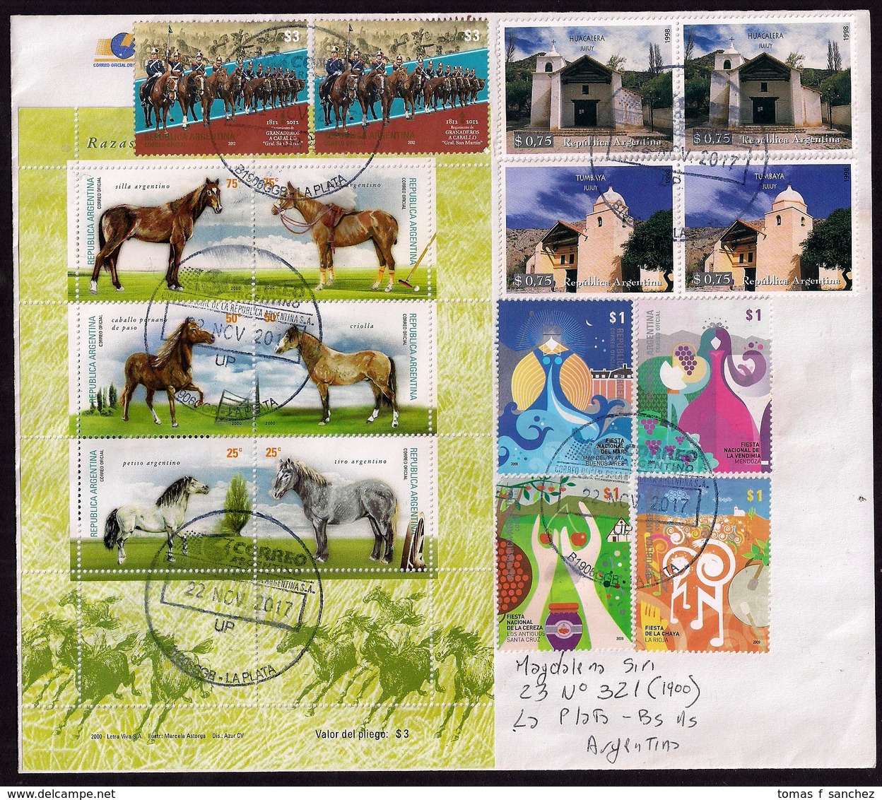 Argentina - 2017 - Lettre - Chevaux - Lettres & Documents