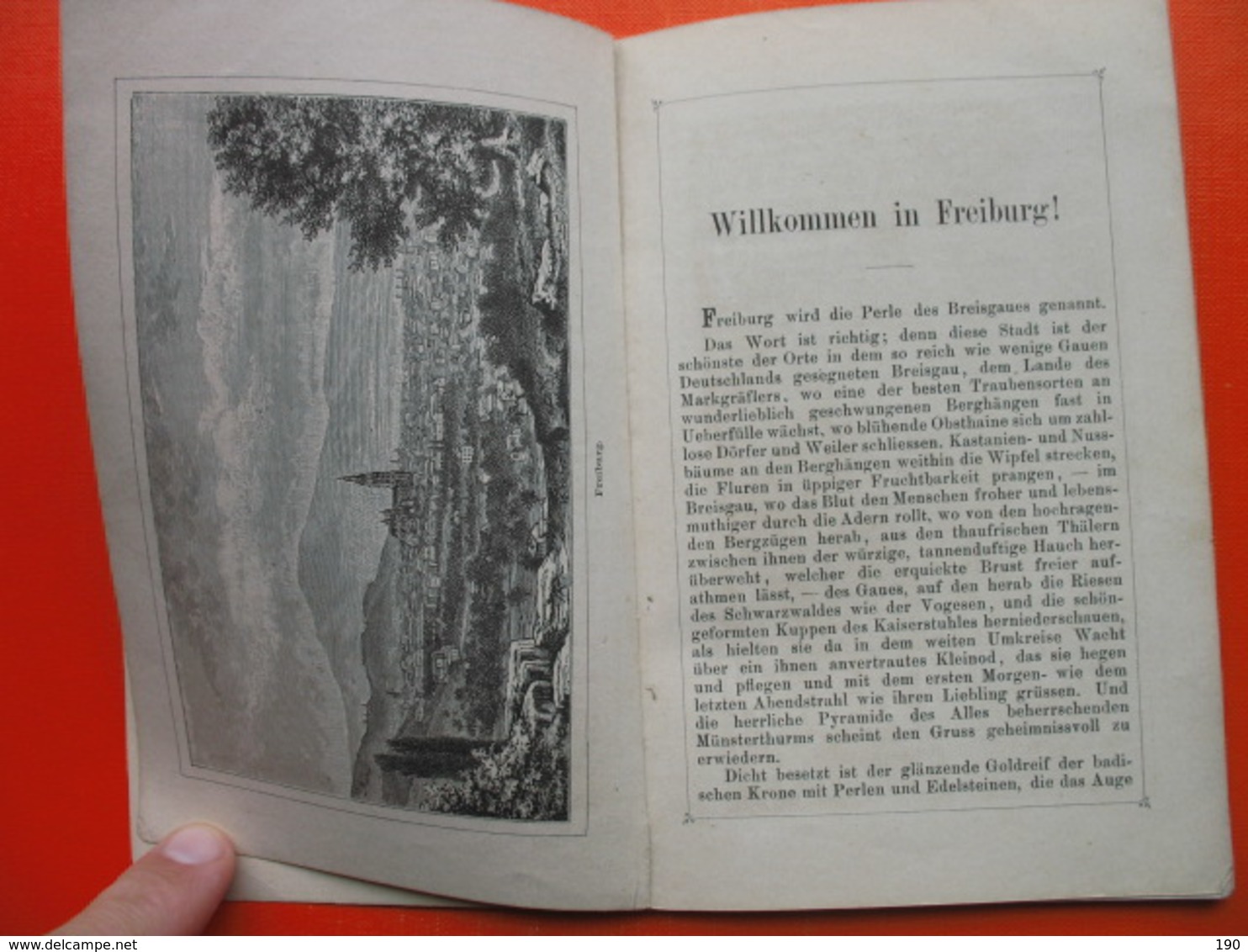 Fuhrer Freiburg/Breisgau - Baden-Wurtemberg