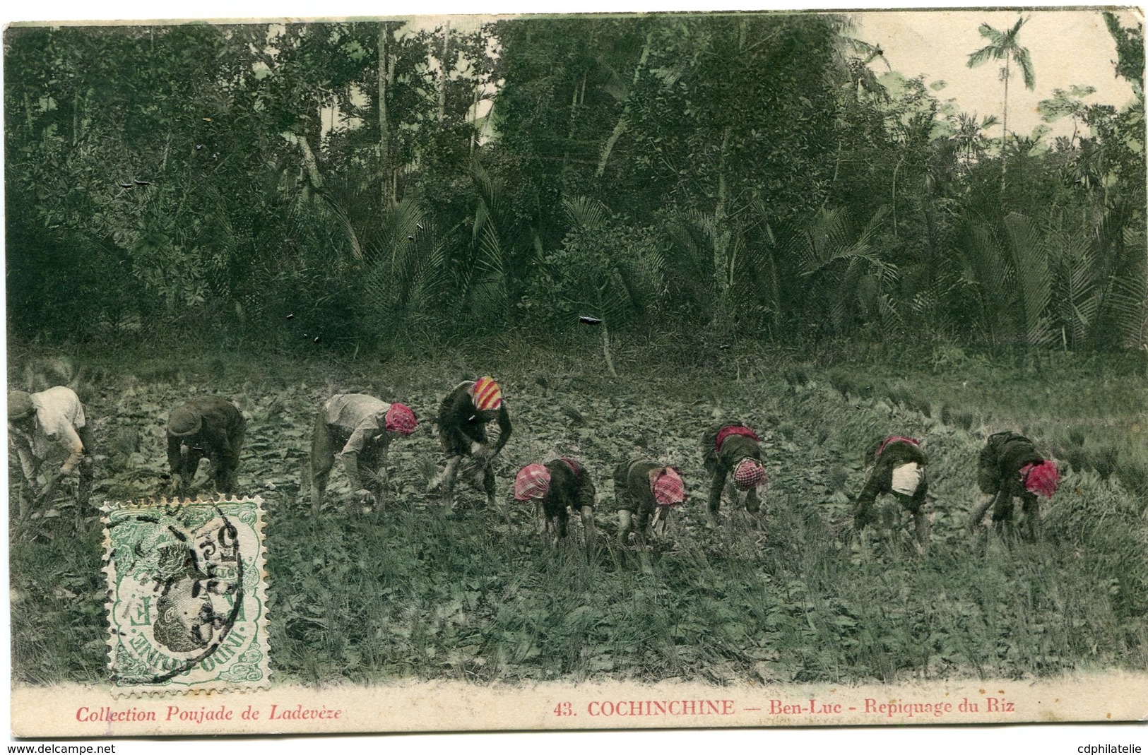 INDOCHINE CARTE POSTALE DE COCHINCHINE -BEN-LUC - REPIQUAGE DU RIZ AYANT VOYAGEE - Lettres & Documents