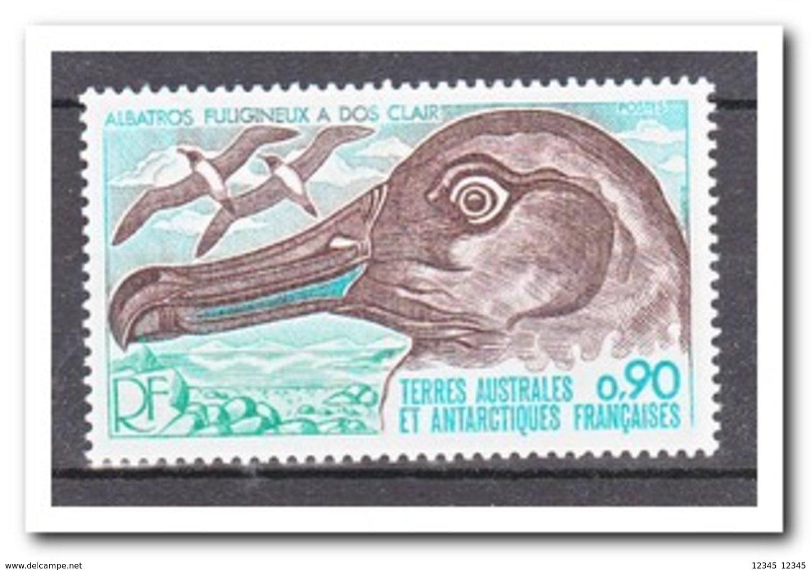 Frans Antarctica 1977, Postfris MNH, Birds - Nuevos