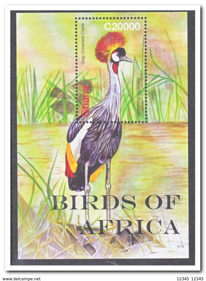 Ghana 2007, Postfris MNH, Birds - Ghana (1957-...)