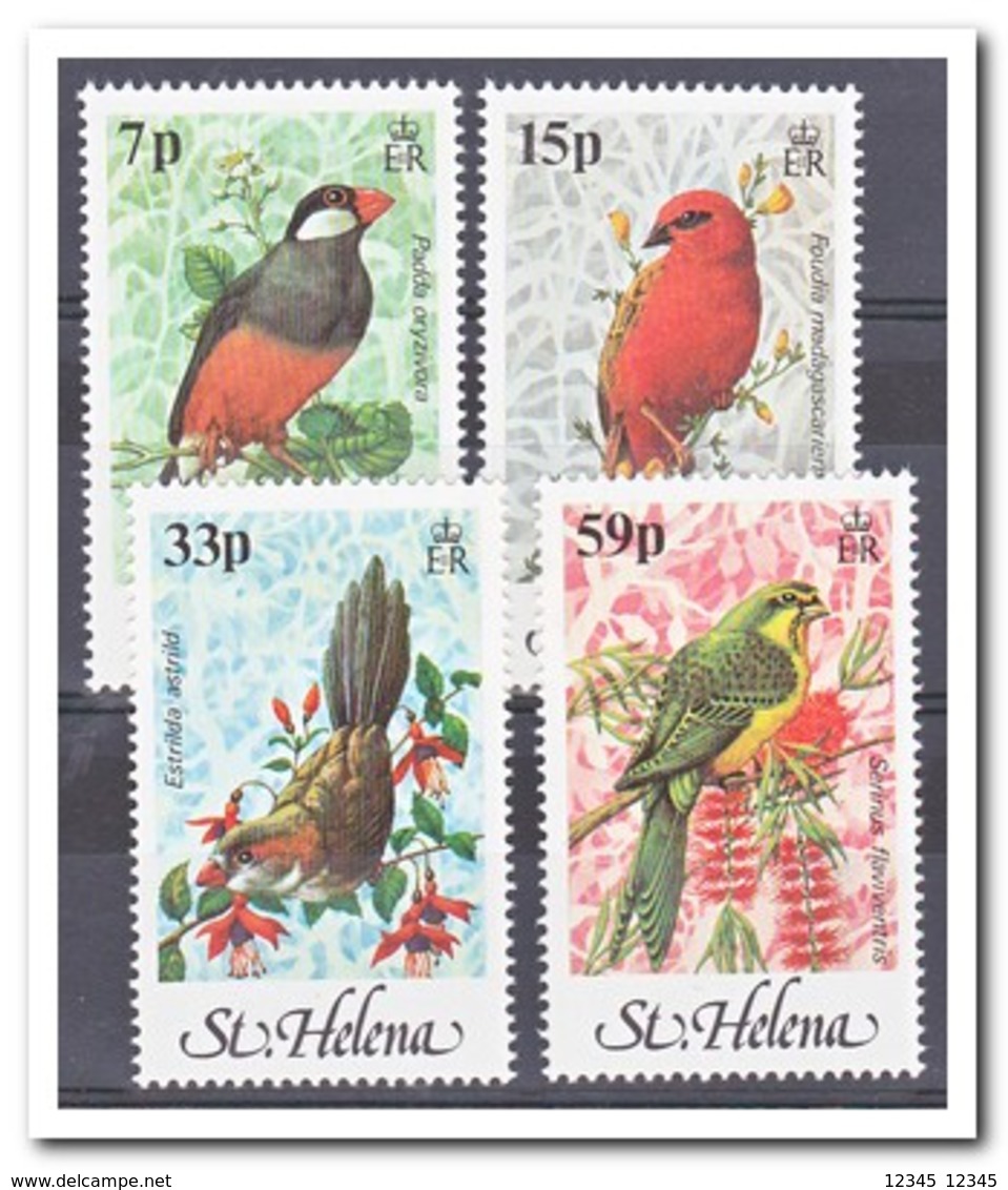 St. Helena 1983, Postfris MNH, Birds - Saint Helena Island