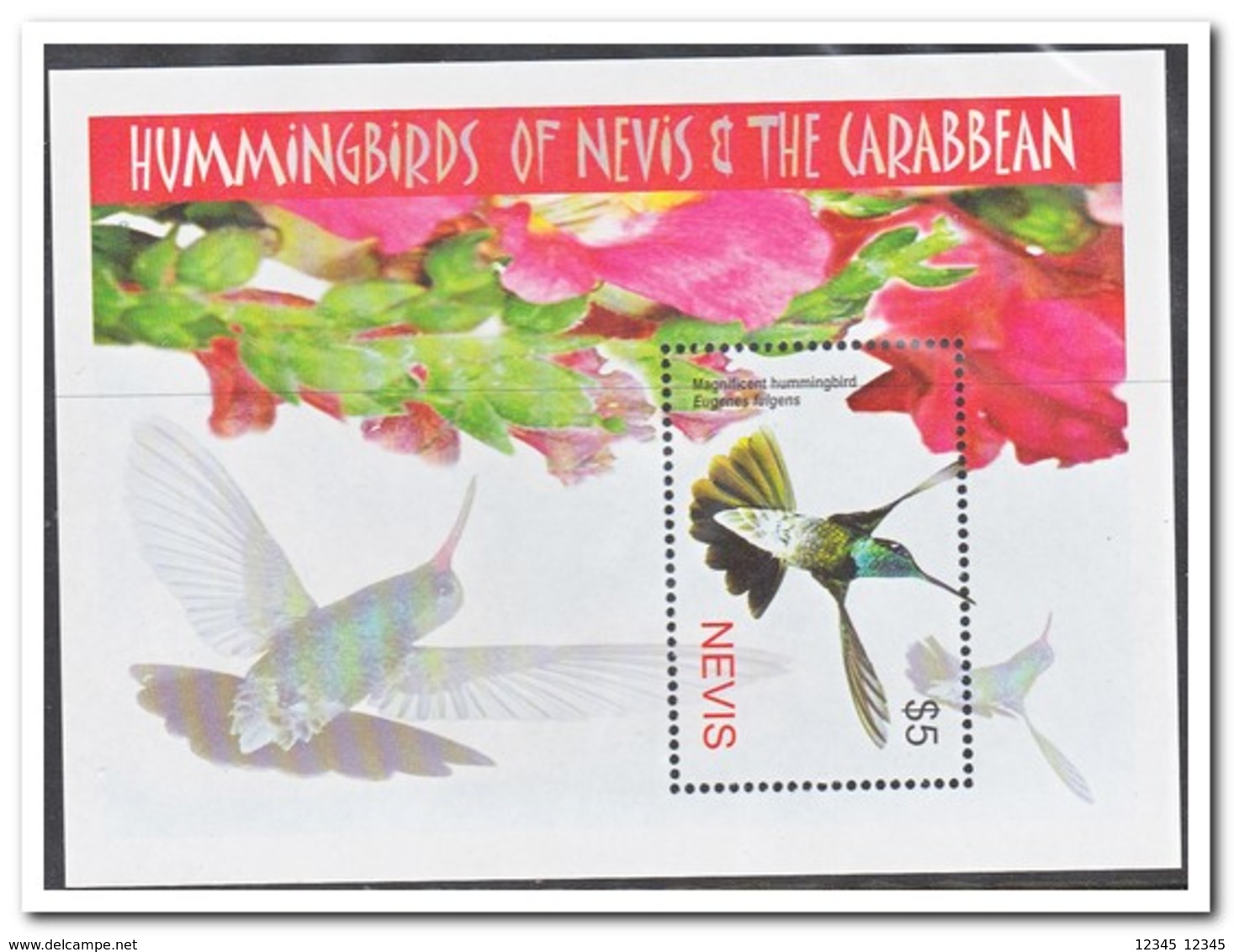 Nevis 2005, Postfris MNH, Birds - Anguilla (1968-...)