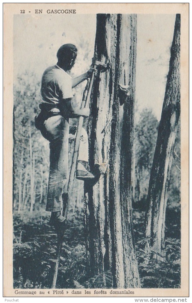 Q18- 40) EN GASCOGNE - GEMMAGE AU "PITTÉ " DANS LES FORÊTS DOMINICALES - (EDITEUR VIGNES  CASTETS  DES LANDES - 2 SCANS) - Autres & Non Classés