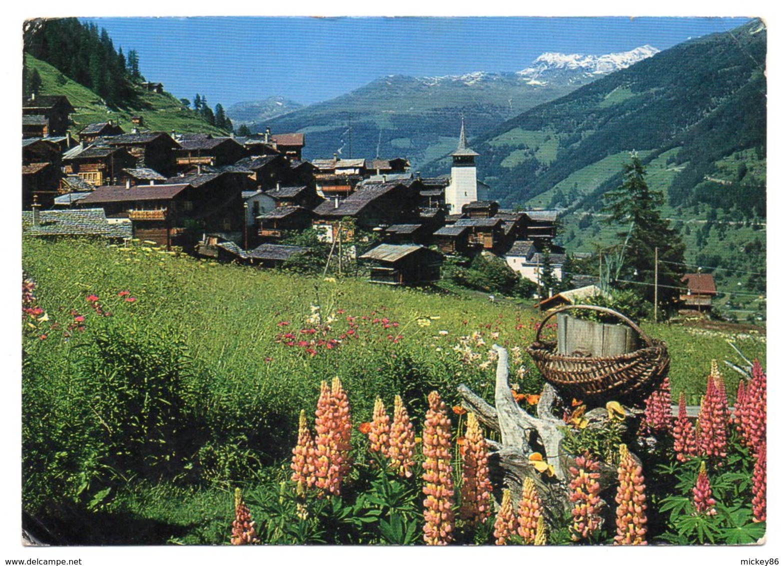 Suisse -- VS --Val D'Anniviers --Village De GRIMENTZ --1967--Vue Générale (fleurs) - Grimentz