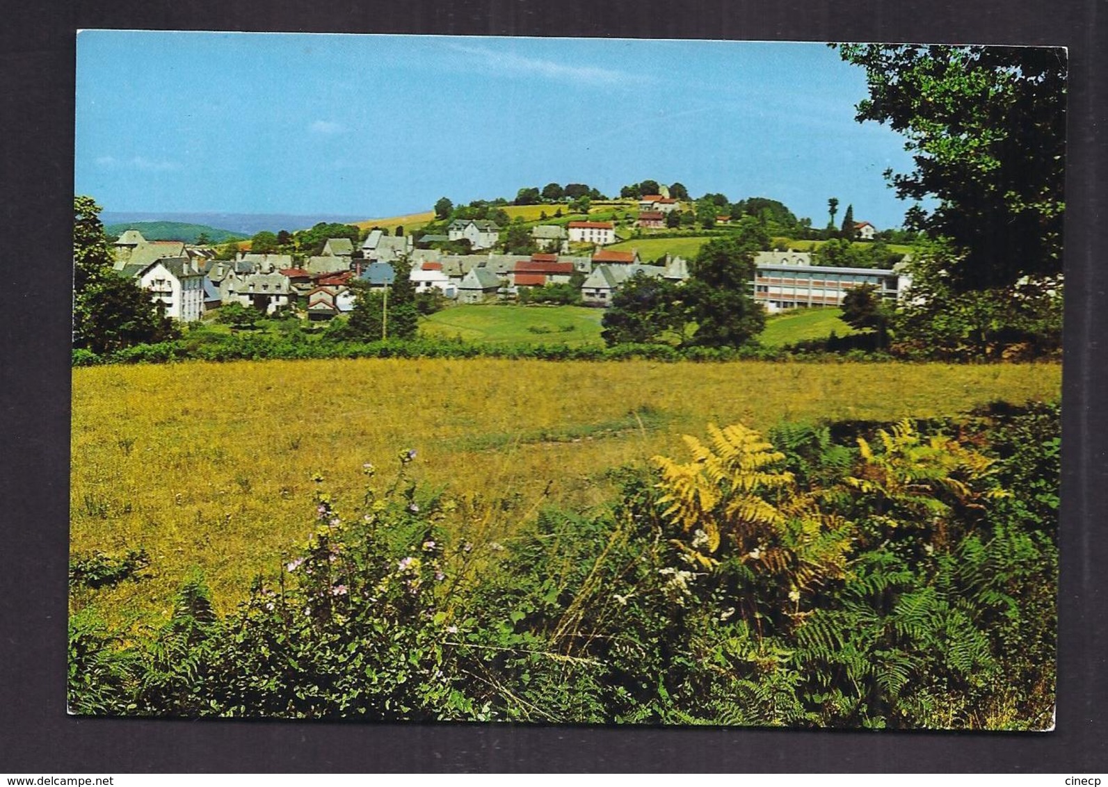 CPSM 15 - SAINT-MAMET - Vue Générale Et Puy St. Laurent - TB PLAN D'ensemble Du Village - Saint-Mamet-la-Salvetat